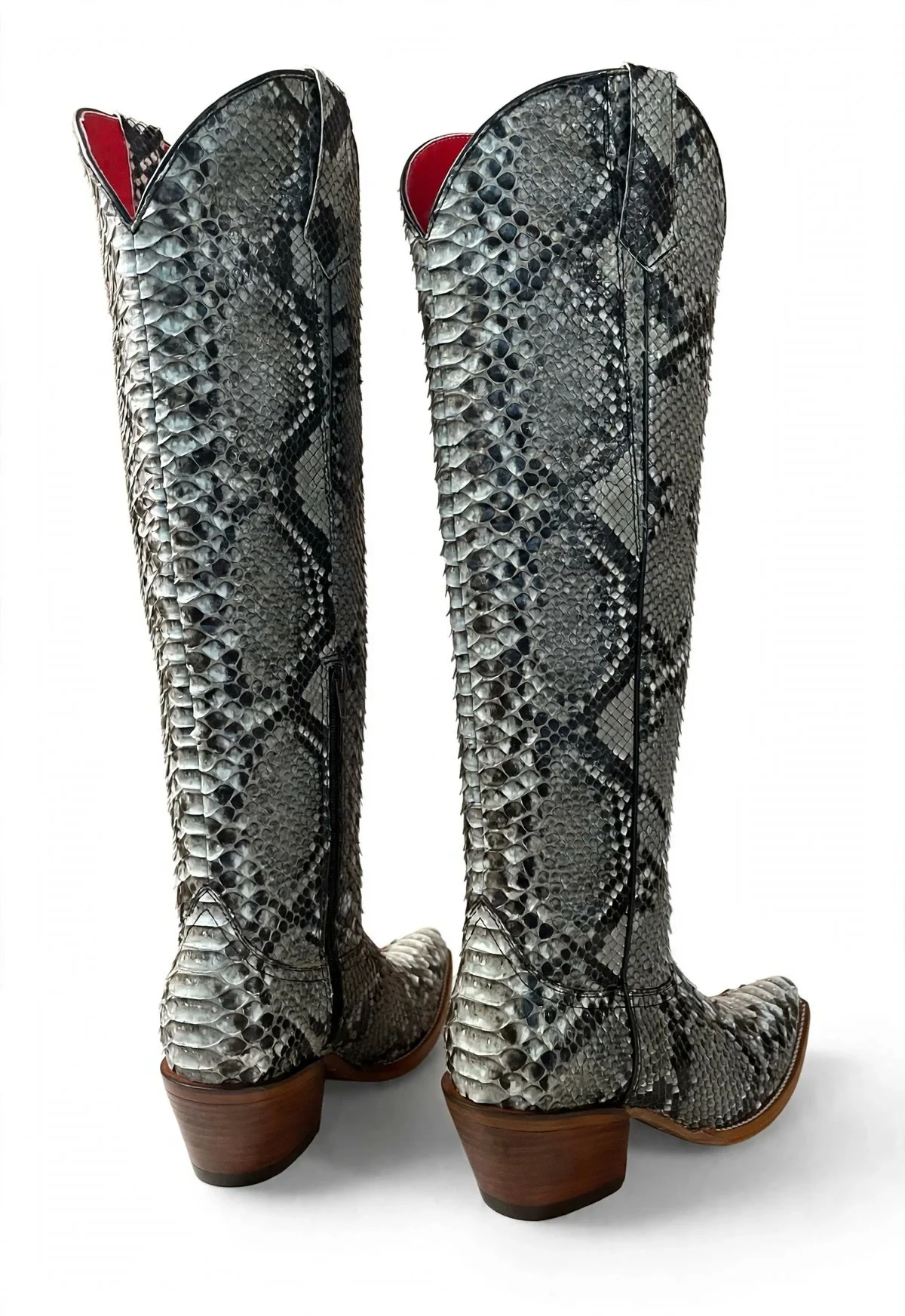 gray-python-back.jpg
