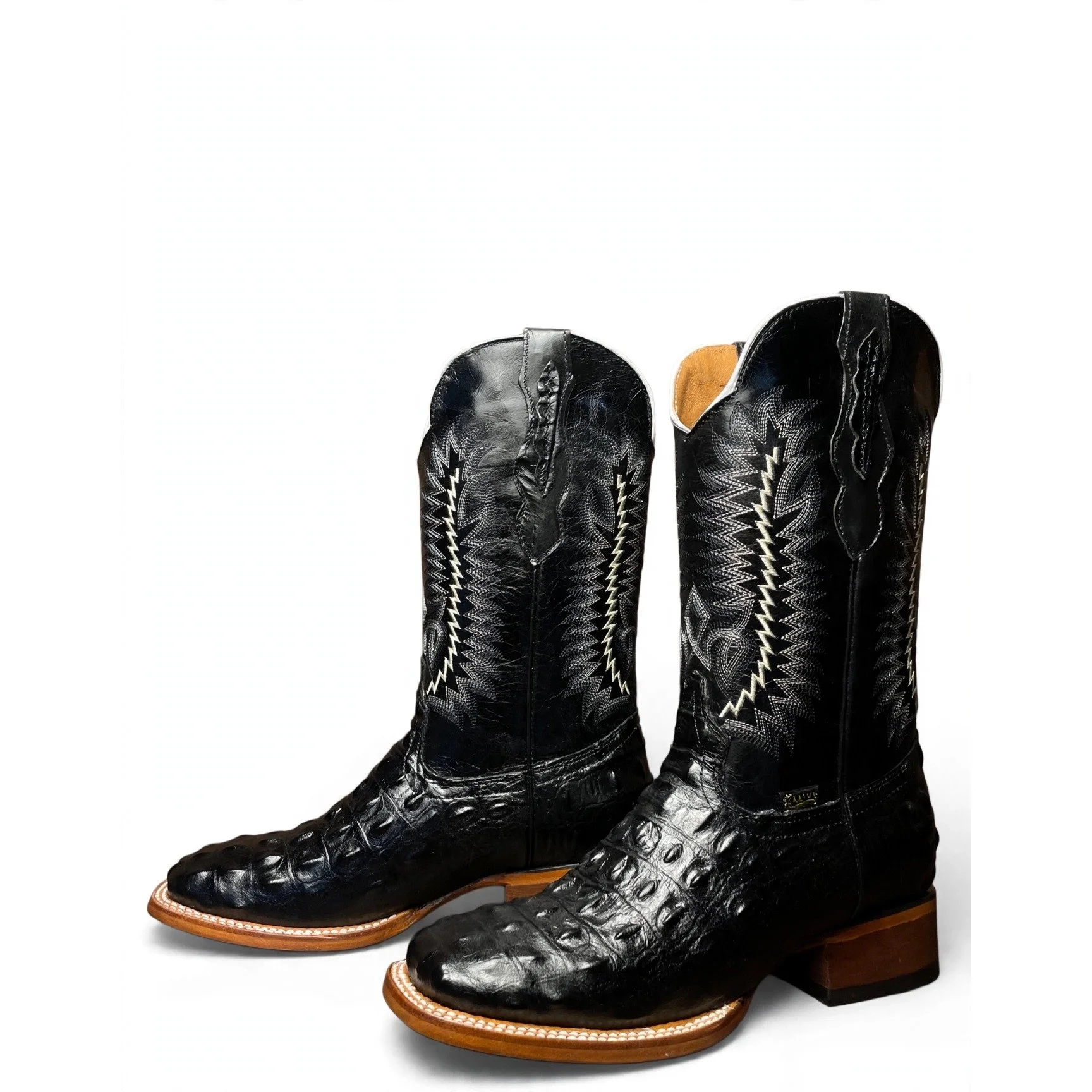 Black Crocodile Nilo