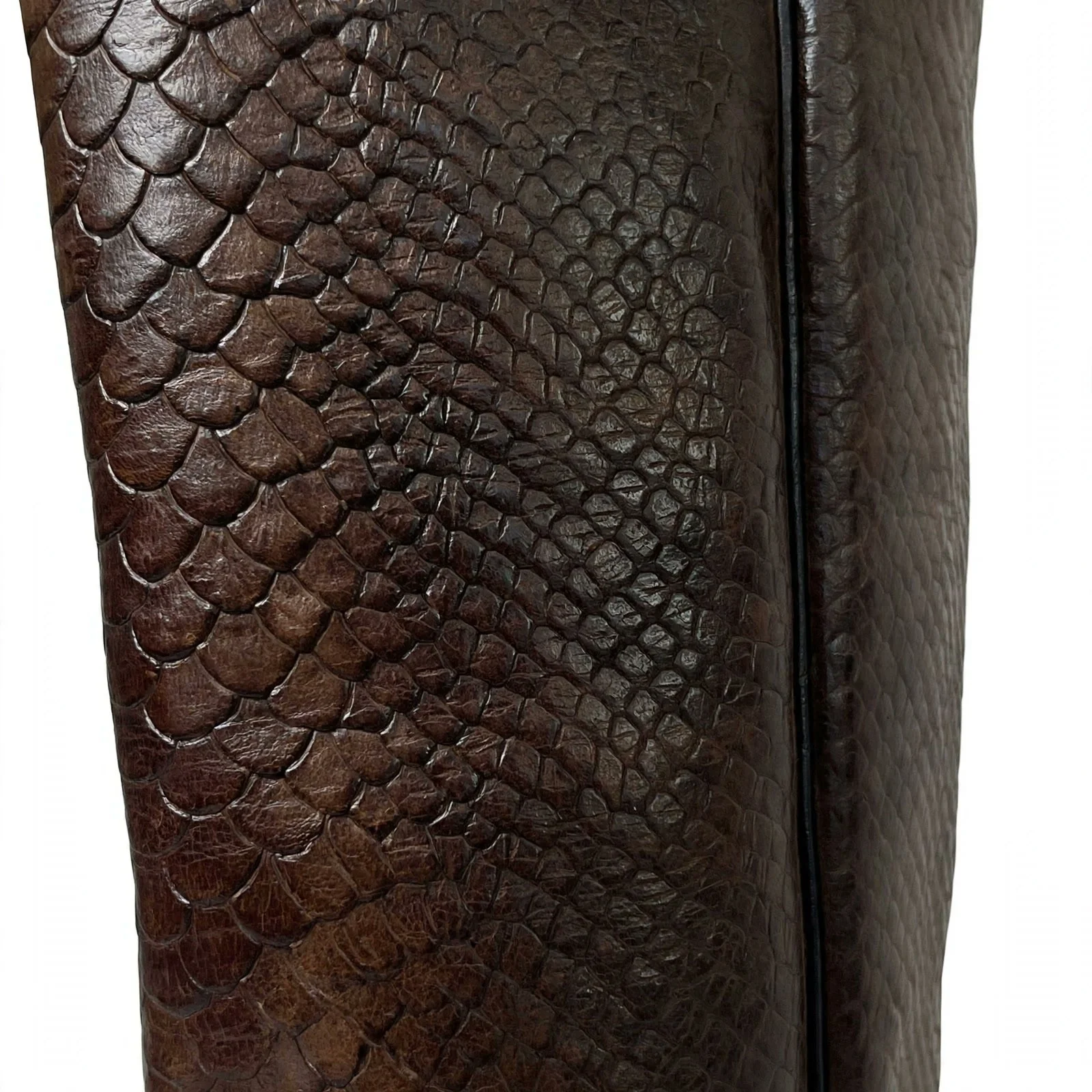 brown-python-detail.jpg
