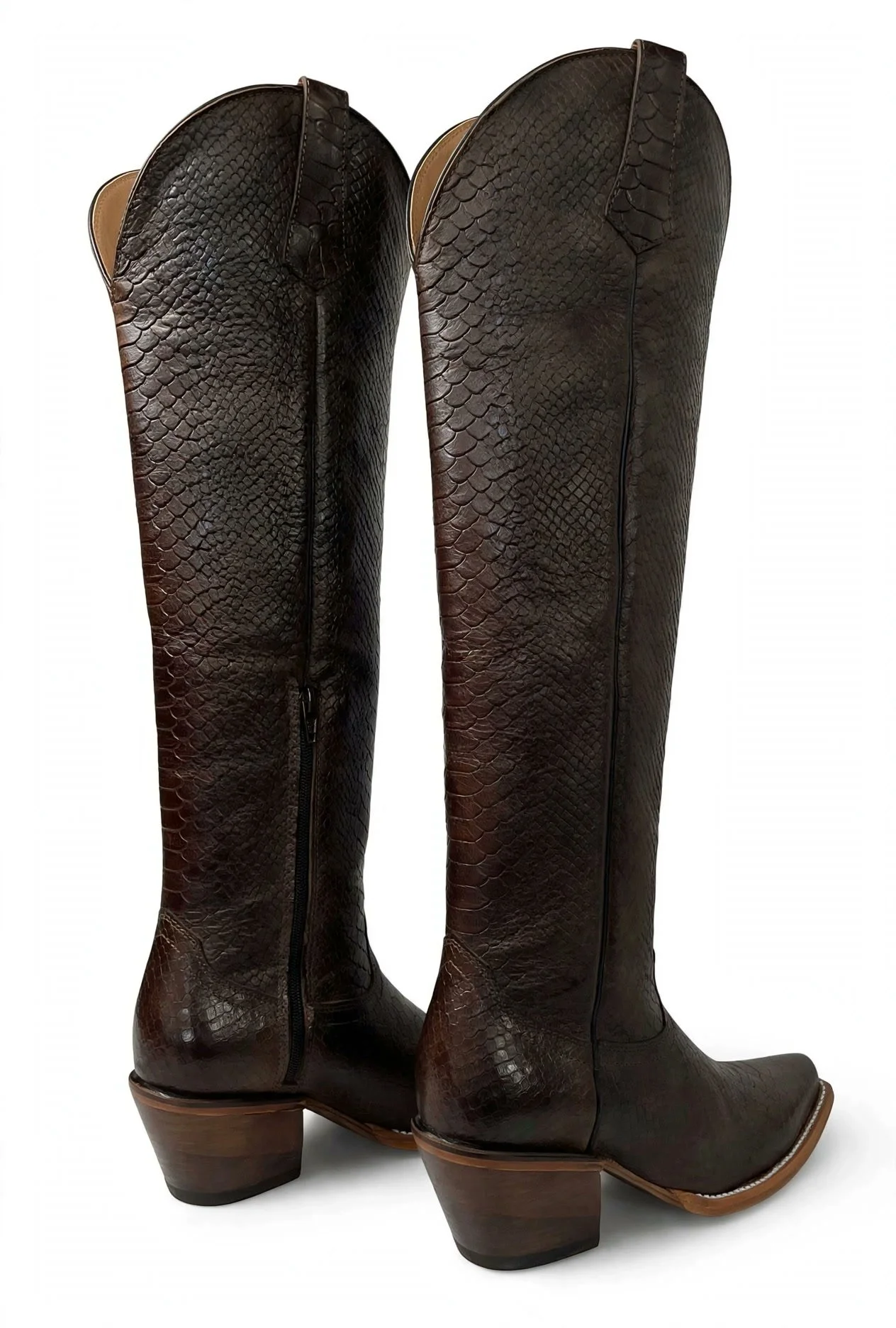 brown-python-back.jpg