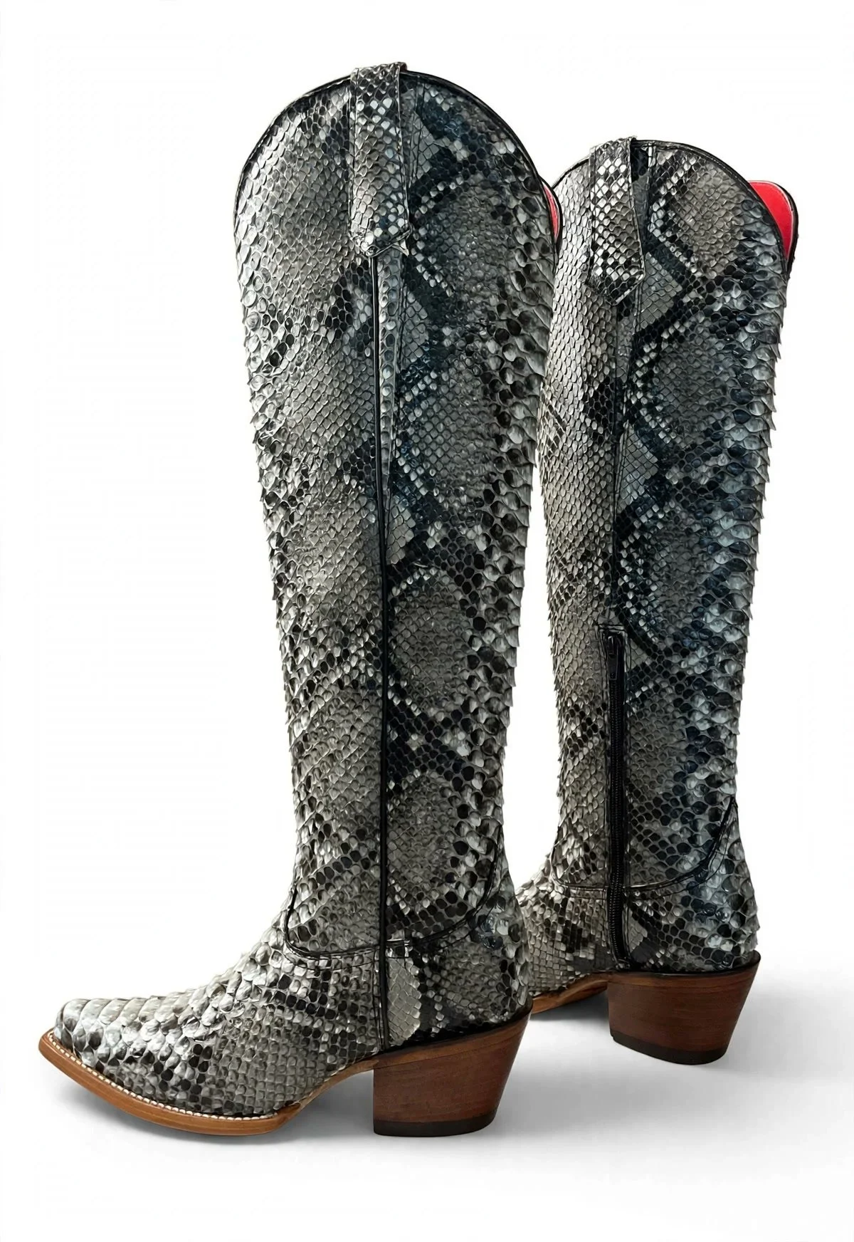 gray-python-side.jpg