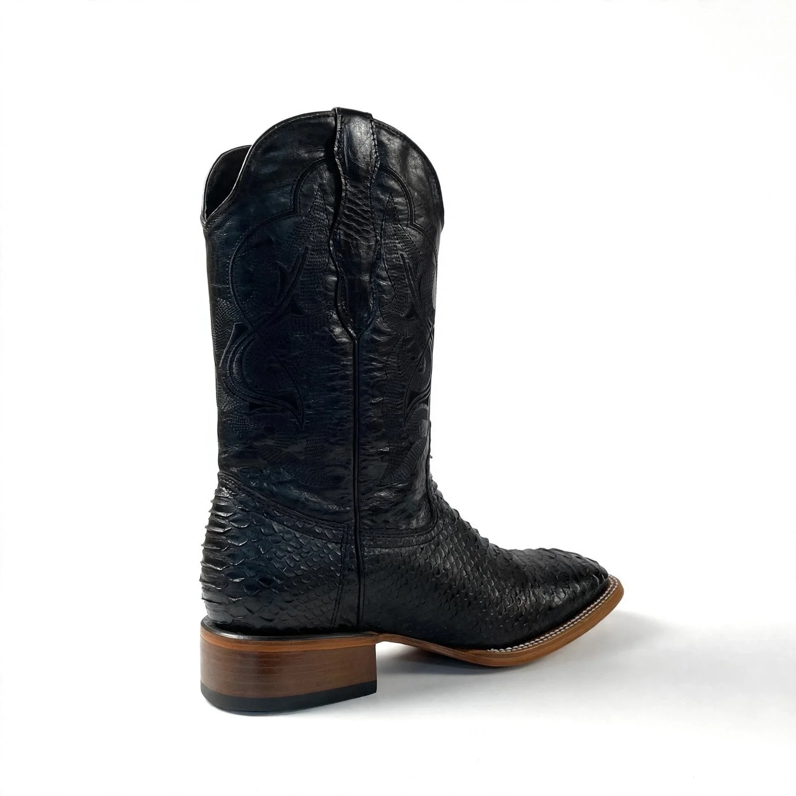 python-black-back.jpg