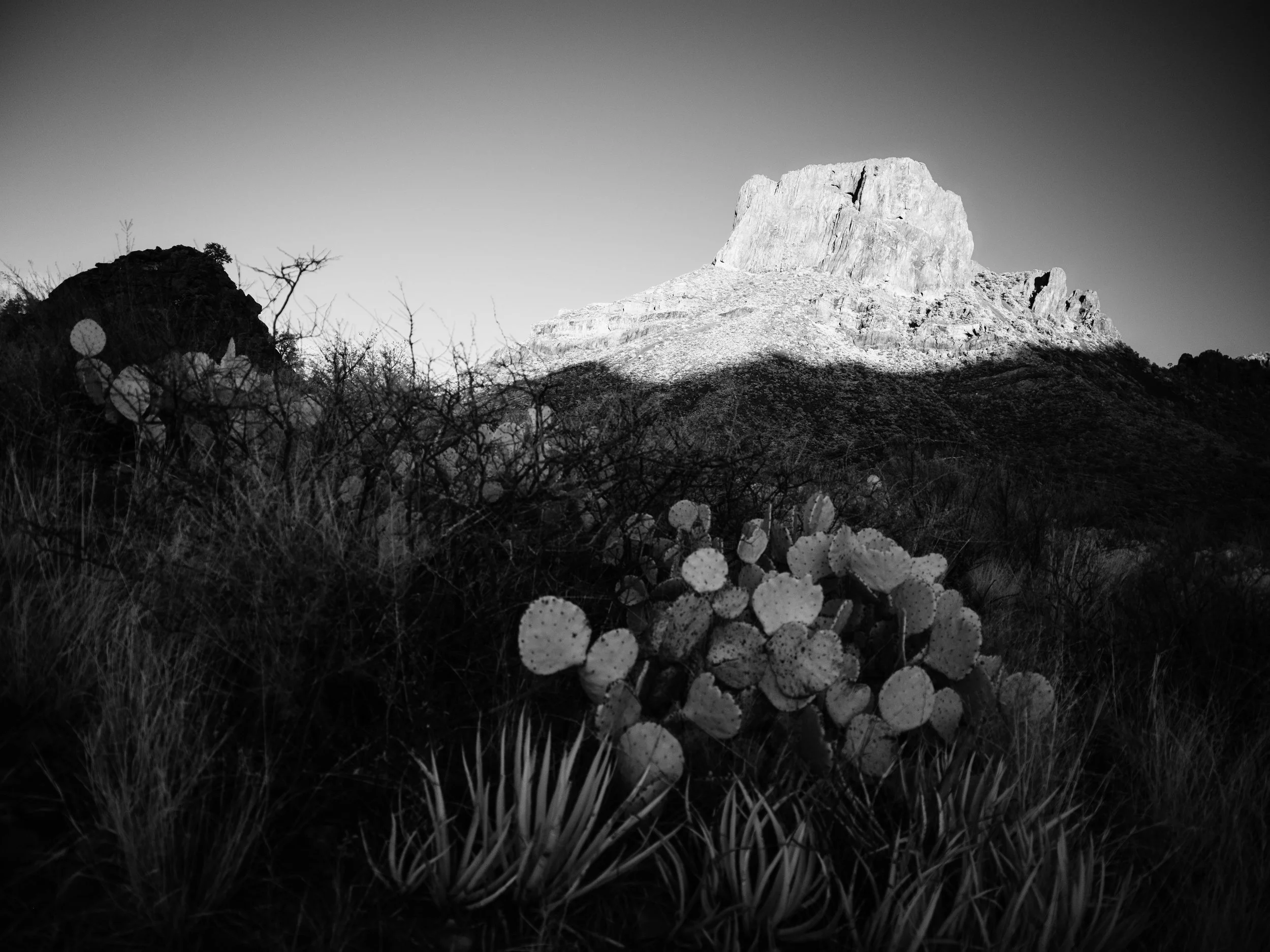 BIG BEND NATIONAL PARK // 2026