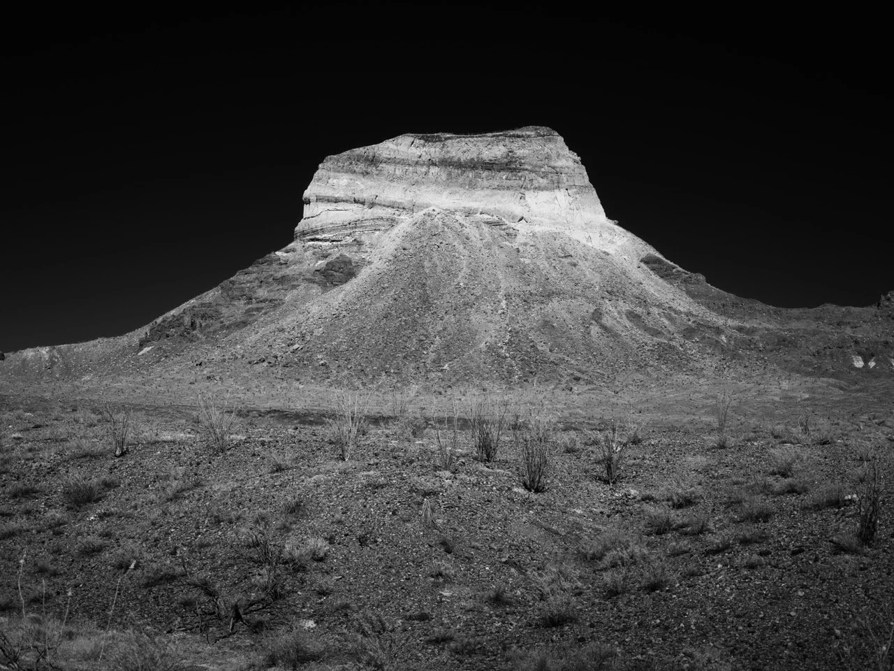 BIG BEND NATIONAL PARK // 2026