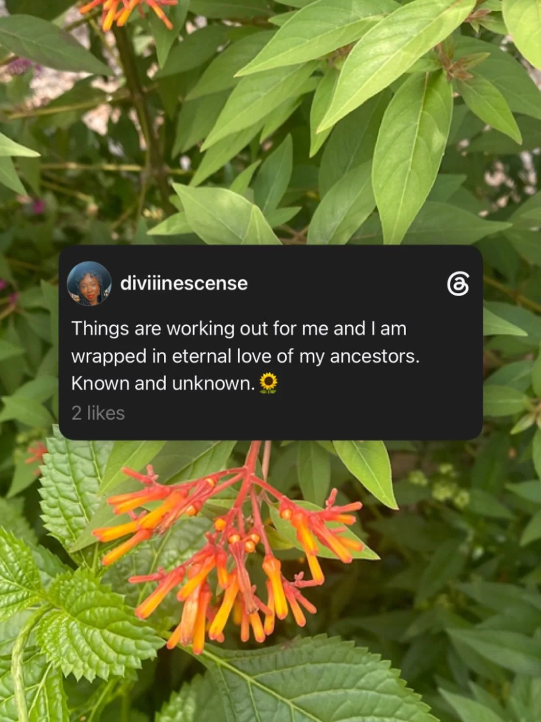 🌻