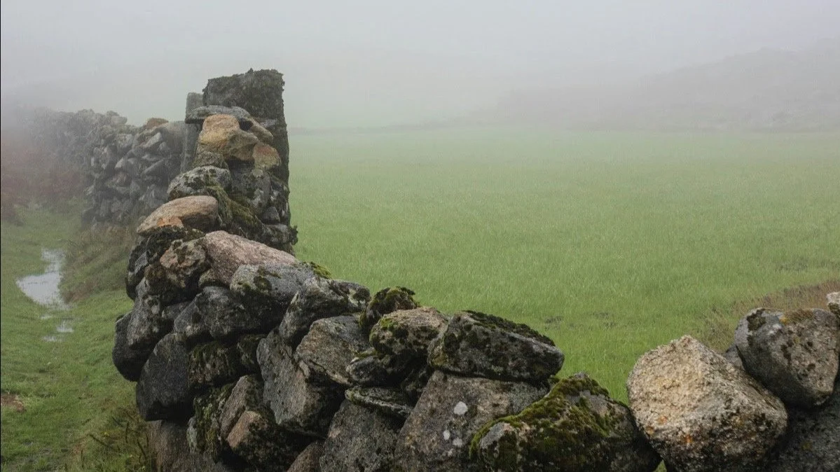 Boundary Lines