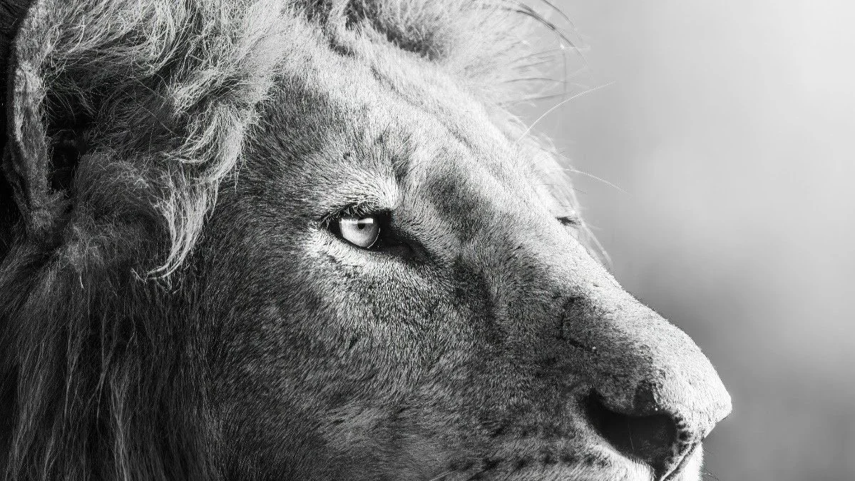 A Most Worthy King