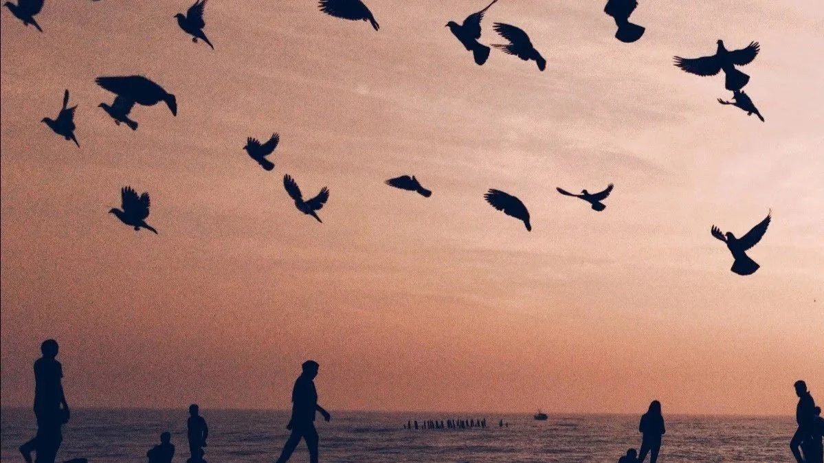 What Do I&nbsp;Overlook?