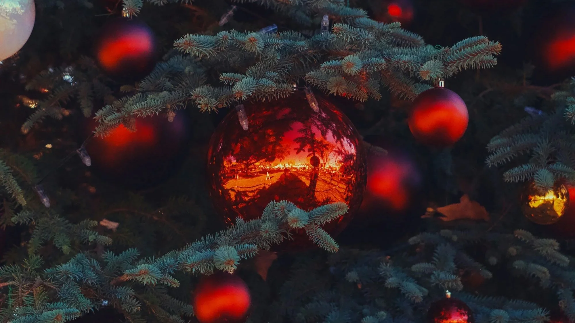 What Does God Want for Me?