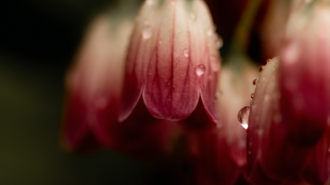 He&nbsp;Longs&nbsp;for You