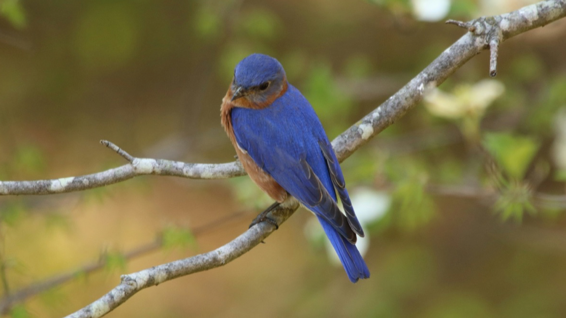 Preparing a Place:&nbsp;The Quiet Work of God