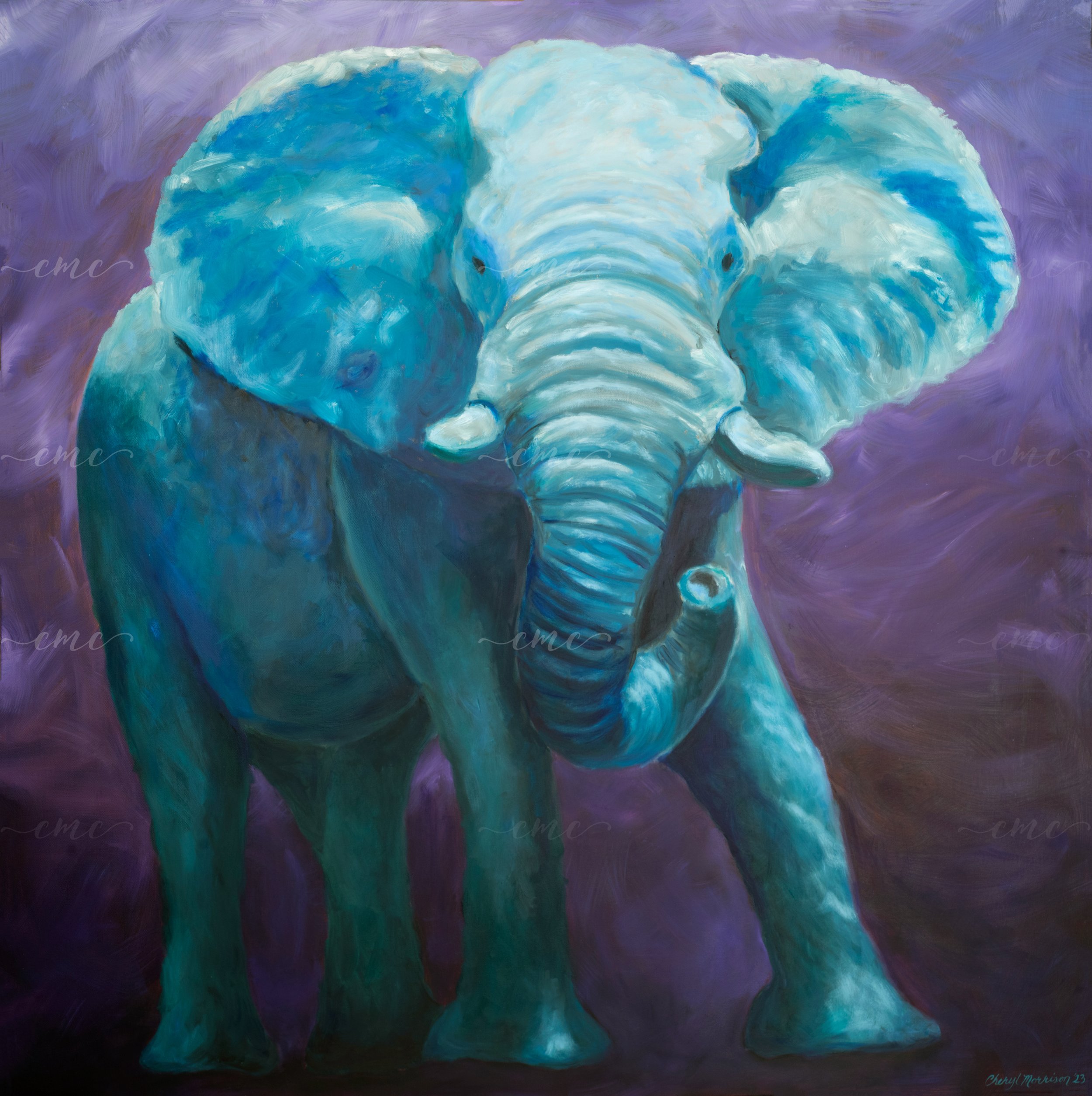 BlueElephant_Panorama-7 WM.jpg