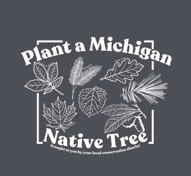 Native Tree Design 2025.png