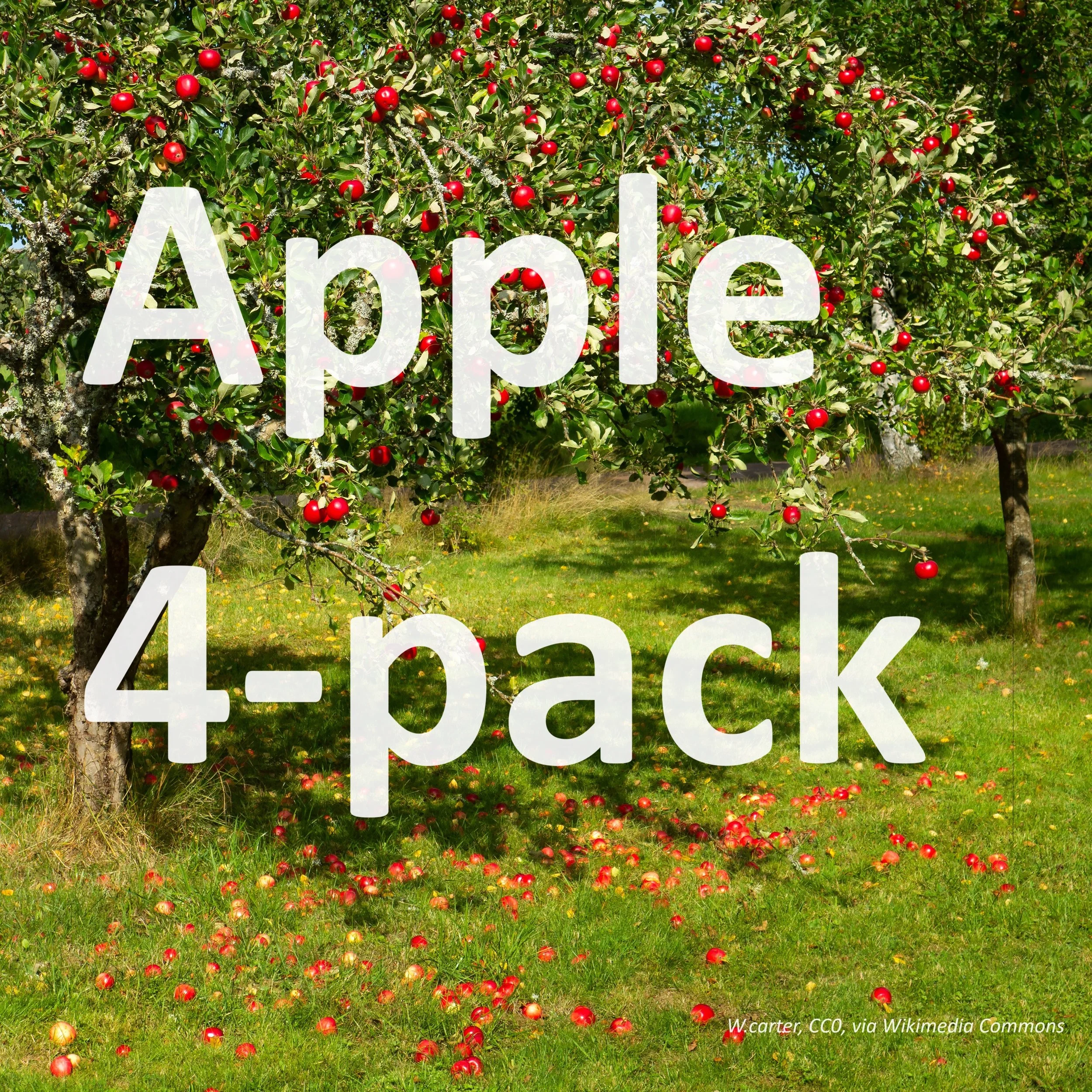 Apple 4-Pack (Auvil Early Fuji, Gala Gala, Granny Smith, Royal Red Honeycrisp)