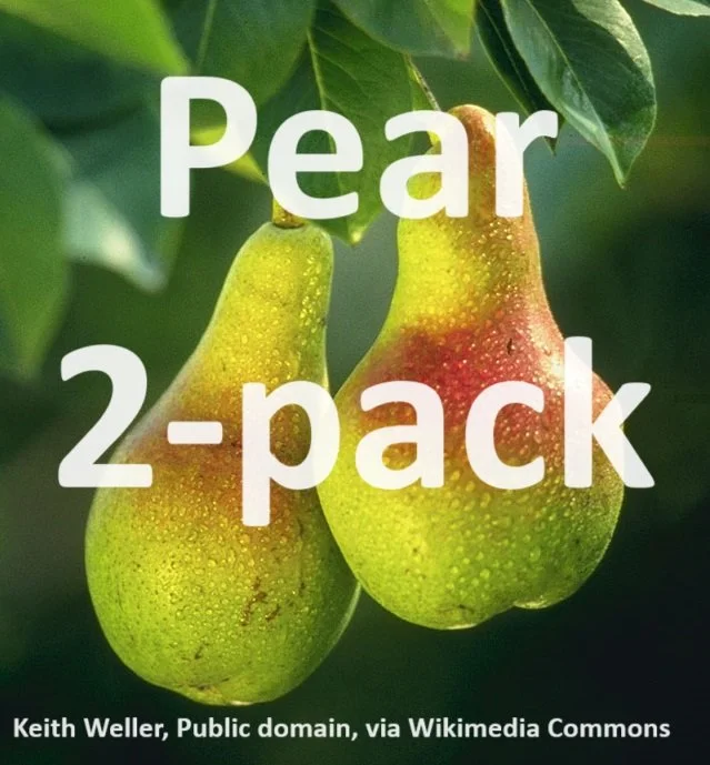 Pear 2-Pack (Golden Russett & Bartlett)