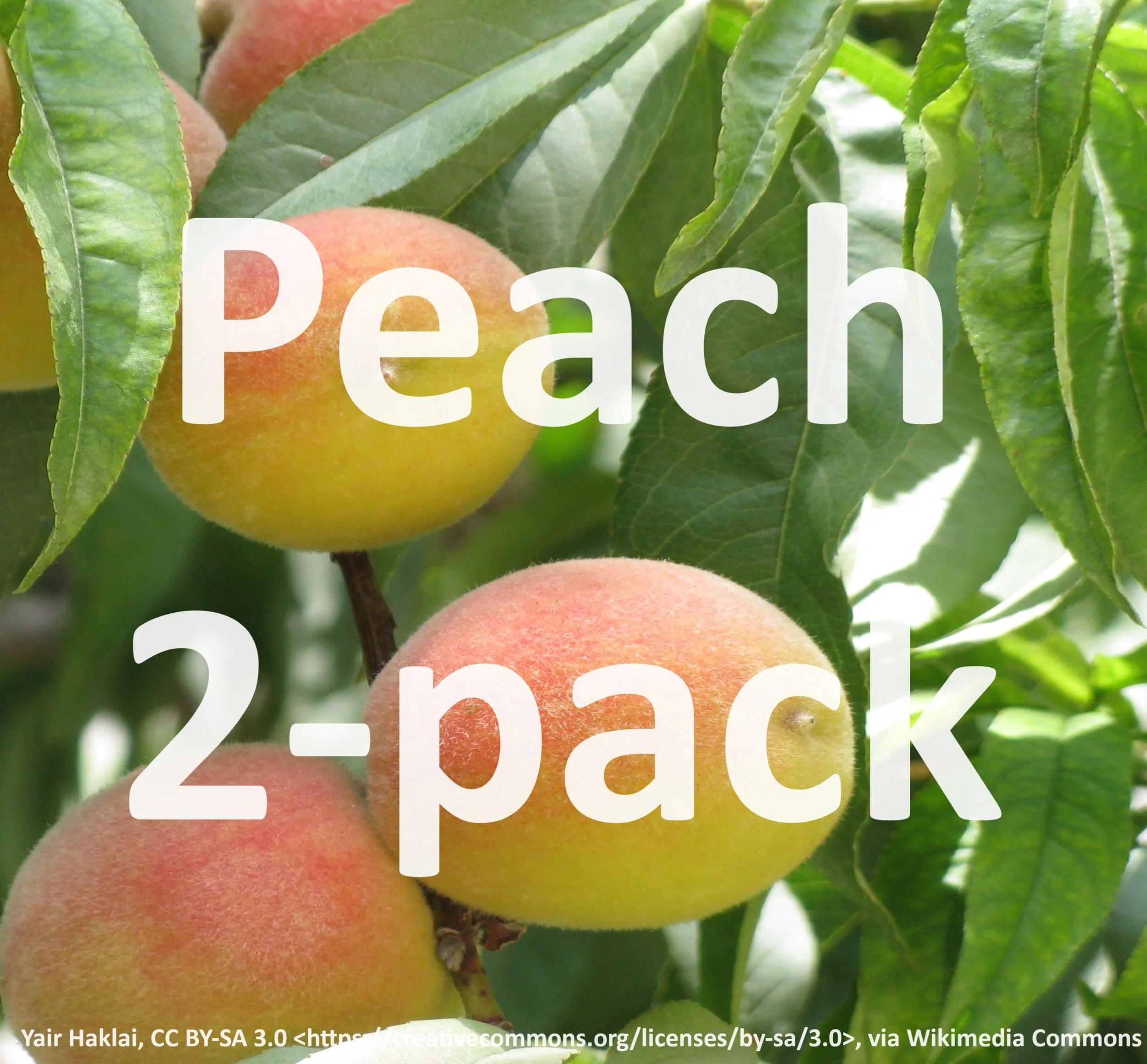 Peach 2-Pack (Cresthaven & Redhaven)