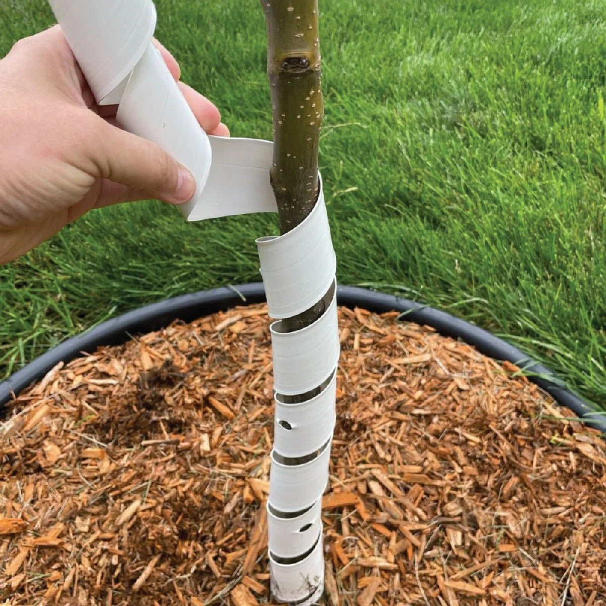 Vinyl Tree Guard 24" (Spiral)