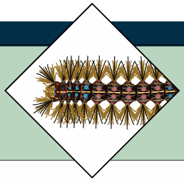 2021 Gypsy Moth Prediction