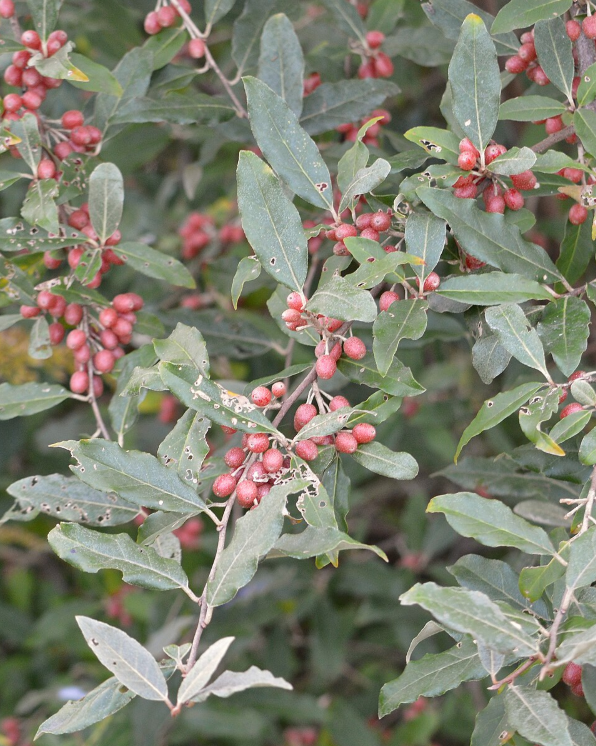 The Importance of Lessons Learned