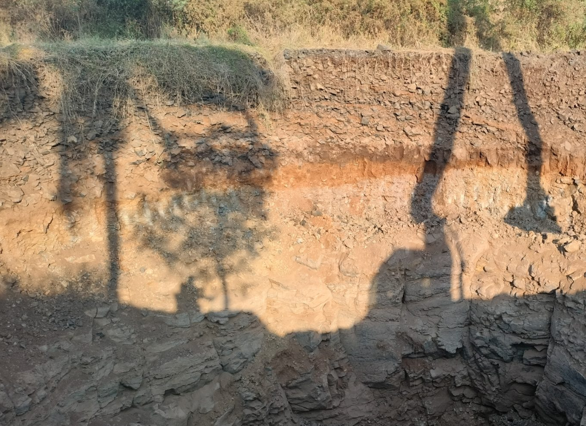 Understand Soils for Forest Management Success