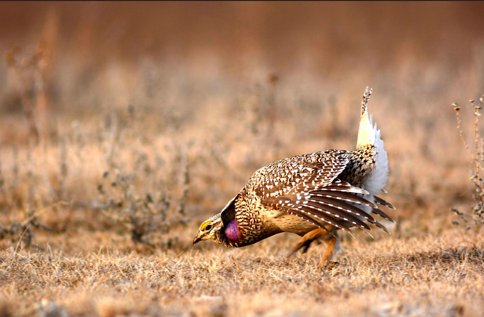 Answering Questions Requires Data