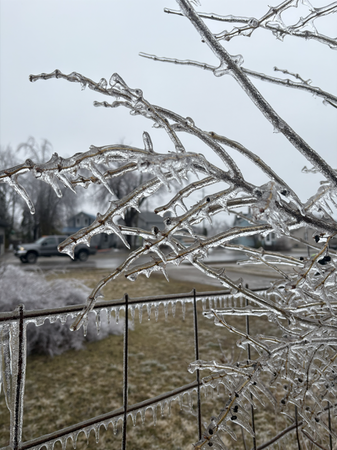 Ice Storm Aftermath