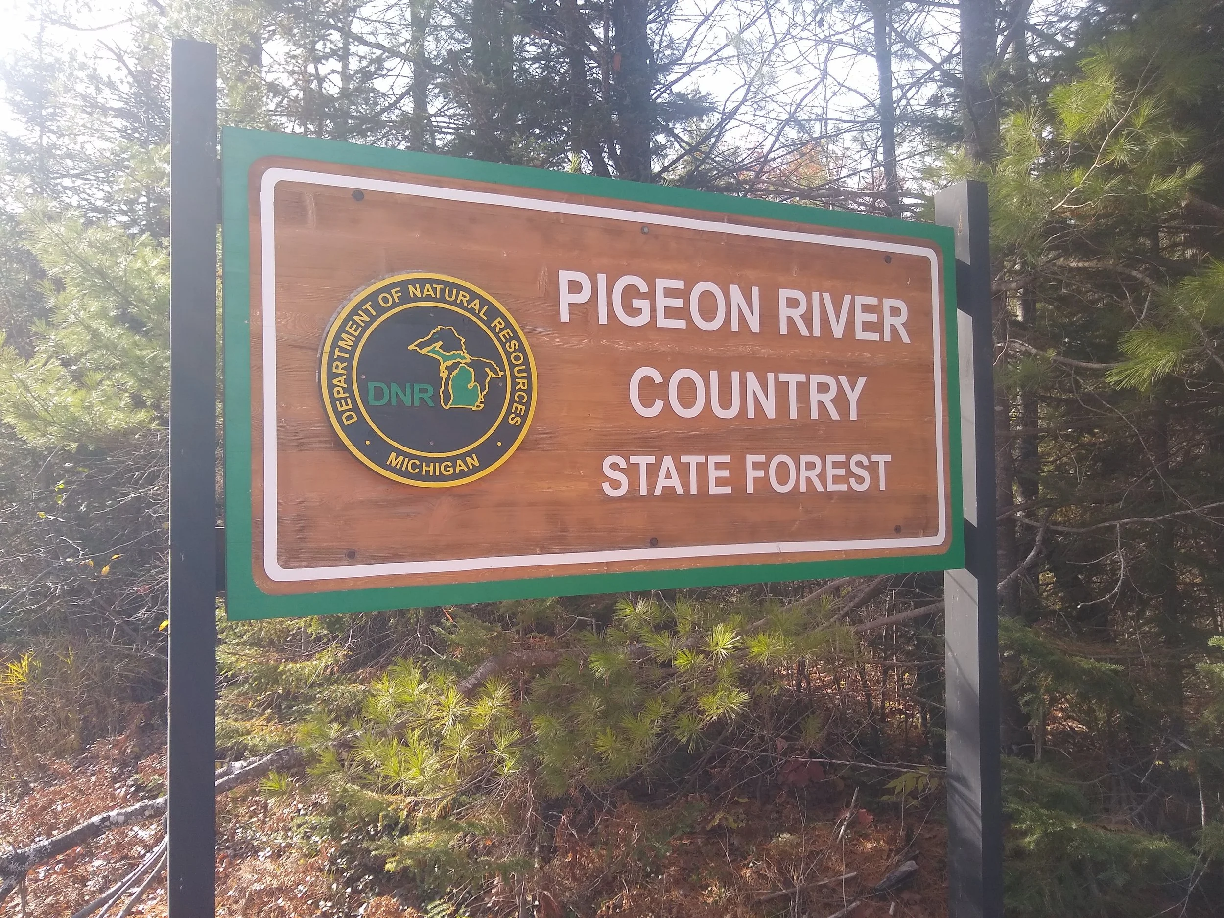 Changing Wildlife Communities