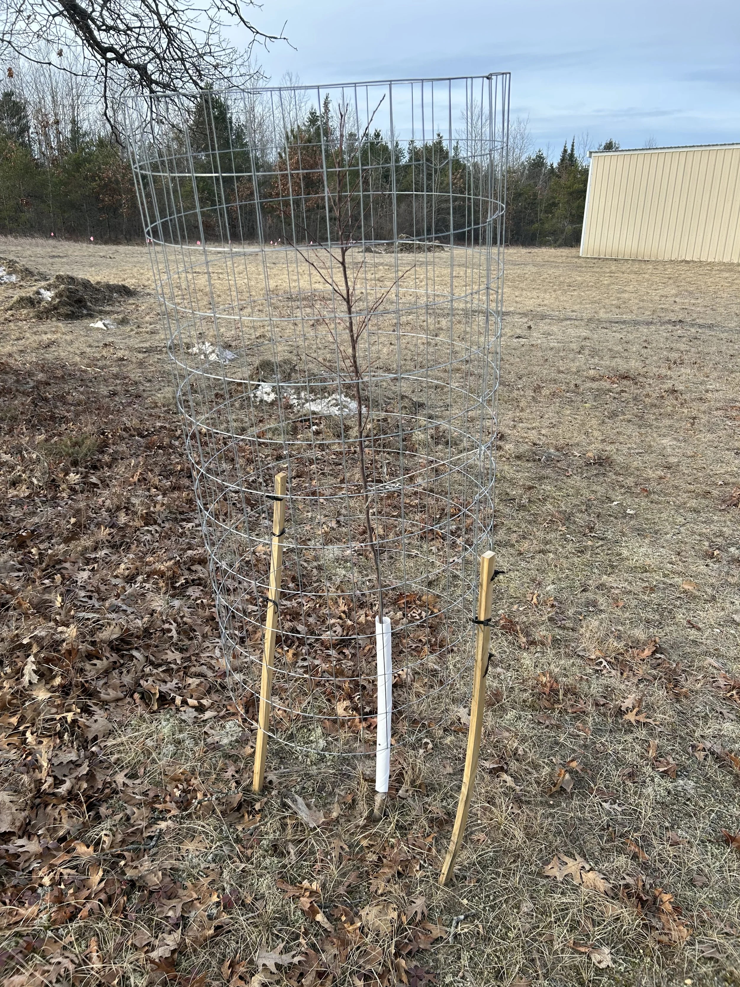 Tree Protection Kits