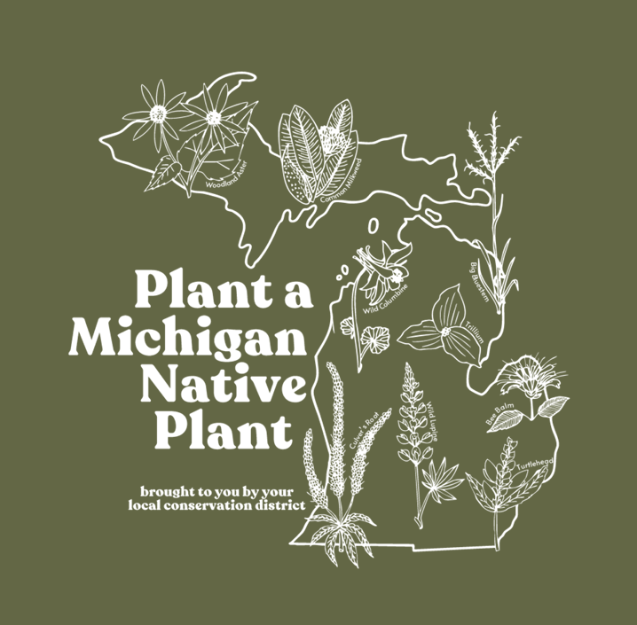Native Plant Design 2025.png
