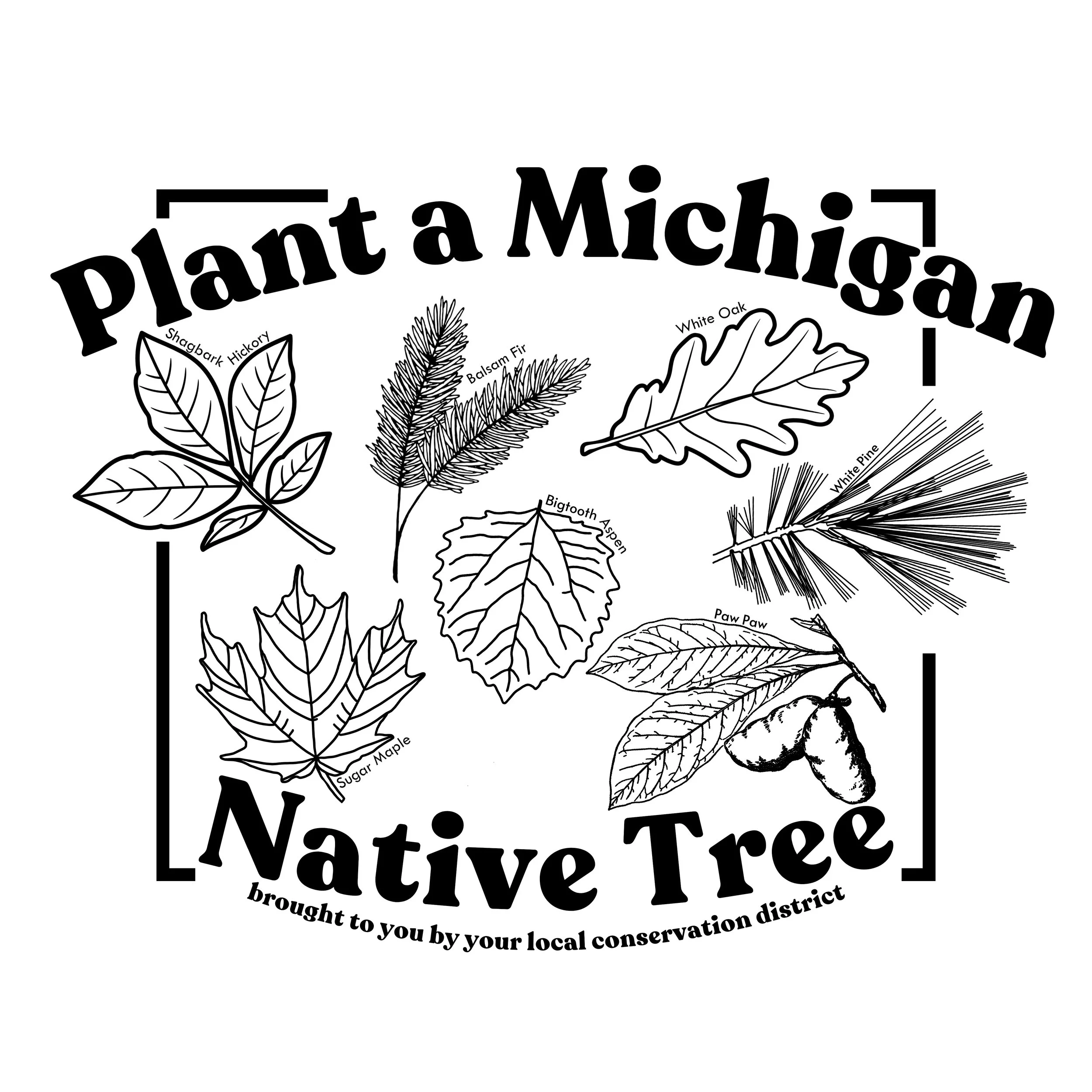 Tree Shirt 12-24.jpg