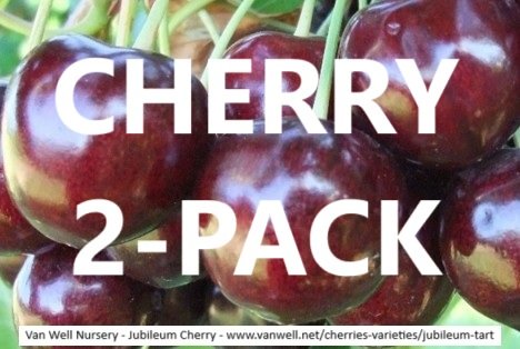 Cherry 2-Pack (Rainier & Montmorency)