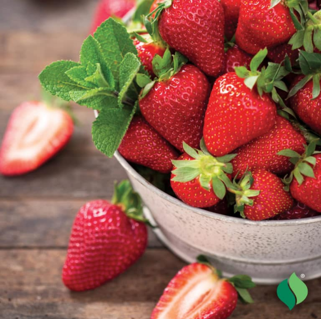 Strawberry - Junebearing