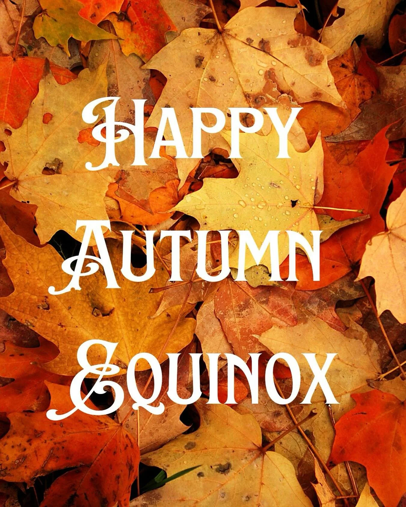 Bring on the sweater weather! 🍁🍂

September Hours
Friday, Saturday, Sunday &amp; Monday 4-8pm
Closed Tuesday, Wednesday &amp; Thursday 

#strongsofmaine #strongs #strongsrestaurant #strongsbeer #strongsbrewing #mainebeer #mainerestaurant #bluehillp