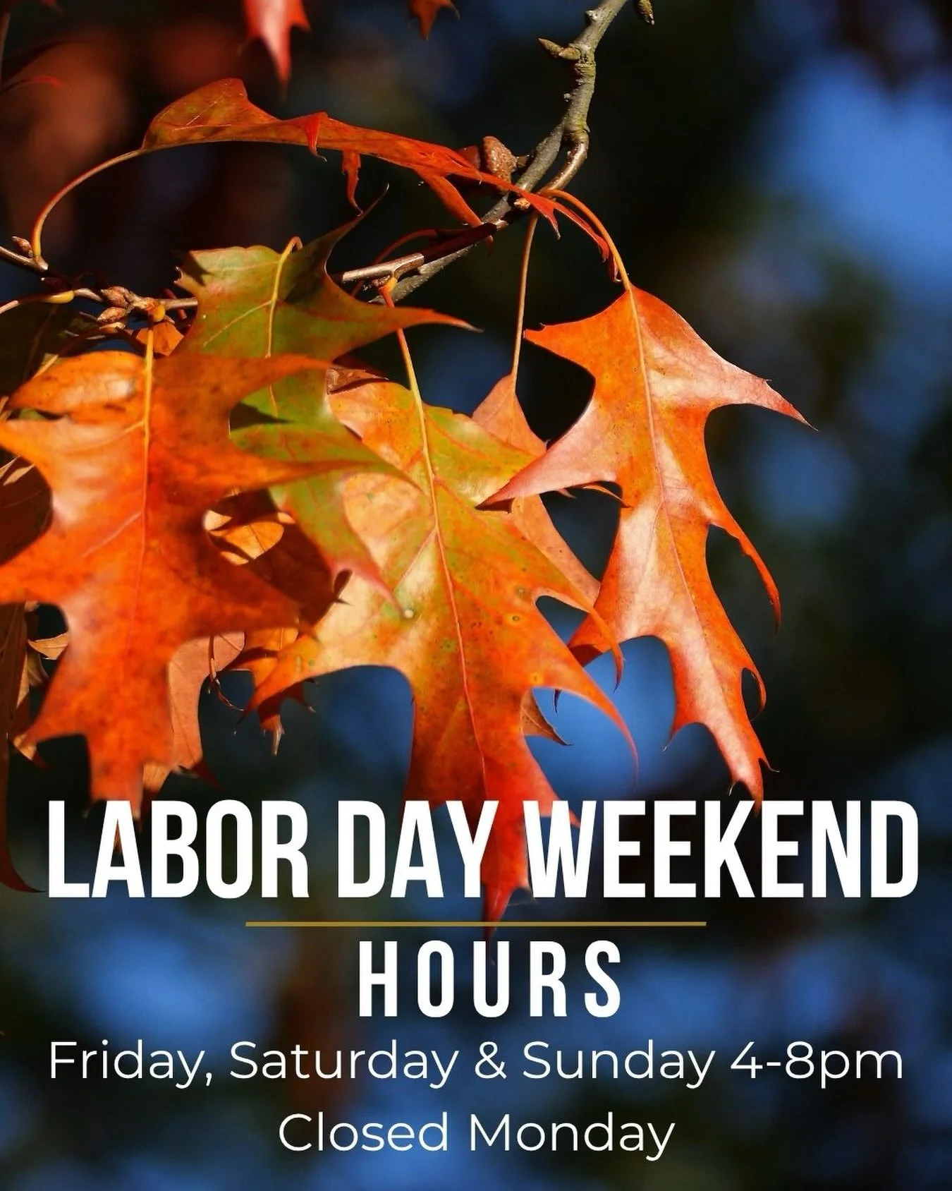 Happy September! 

#strongsofmaine #strongbrewing #bluehillpeninsula #woodfiredpizza