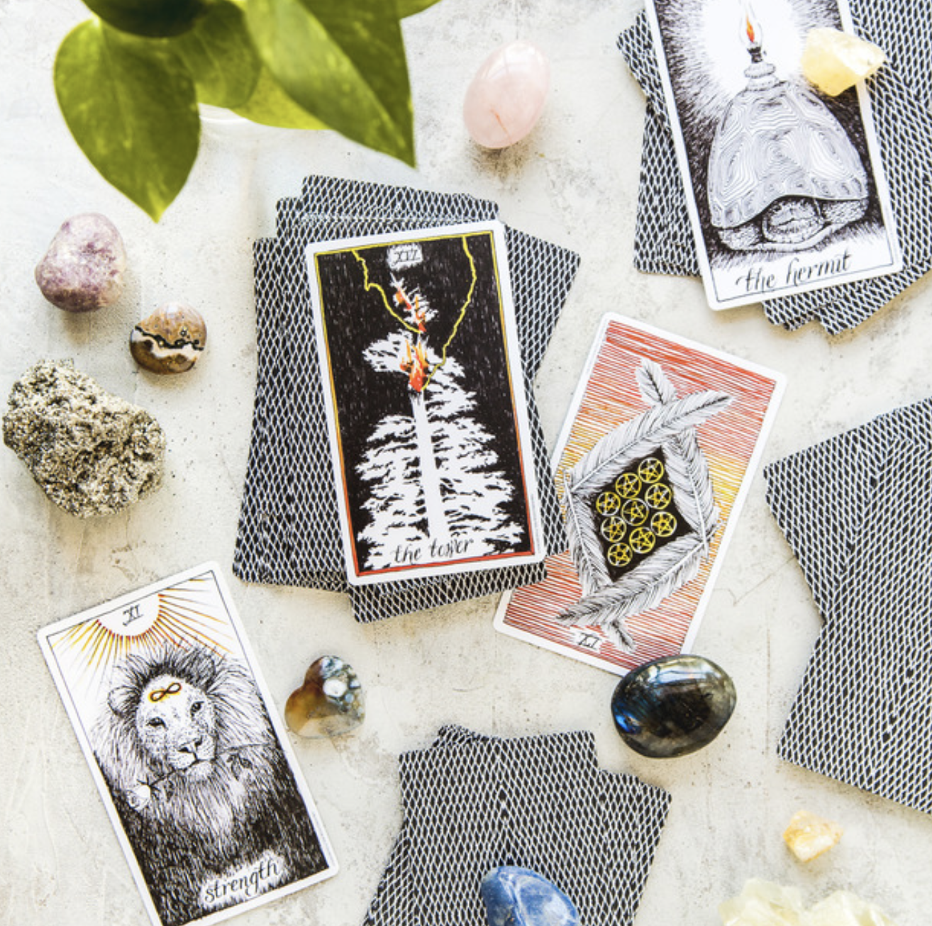 Understanding the Difference Between Tarot and Oracle Cards