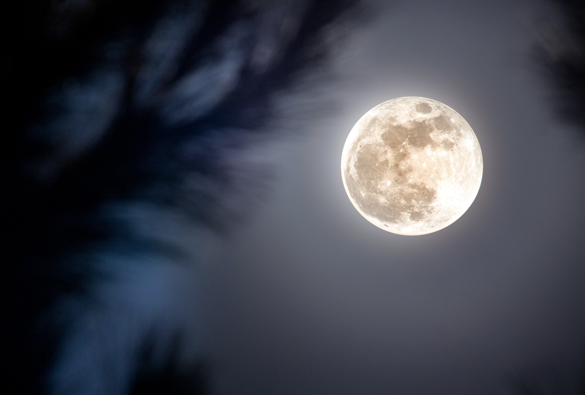 Embracing Lunar Magic: A Guide to Setting Up a Moon Ceremony