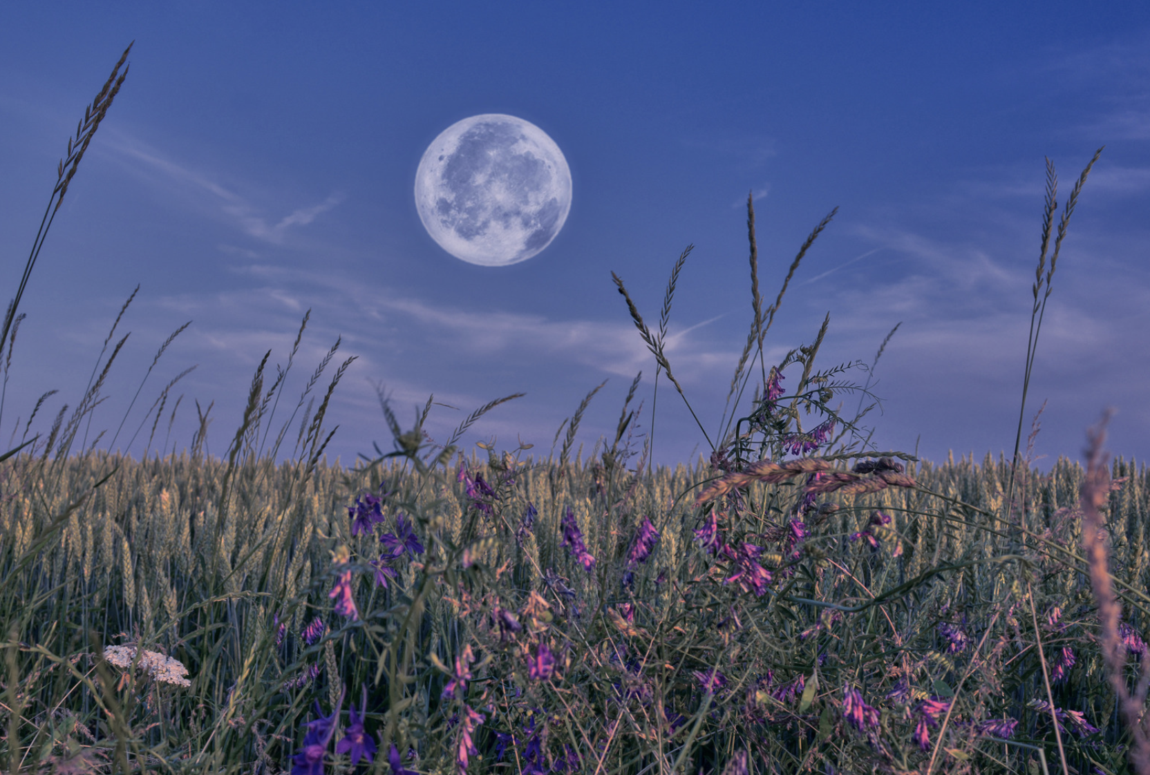 Harnessing Lunar Energies: Exploring the Difference Between Full Moon and New Moon Ceremonies