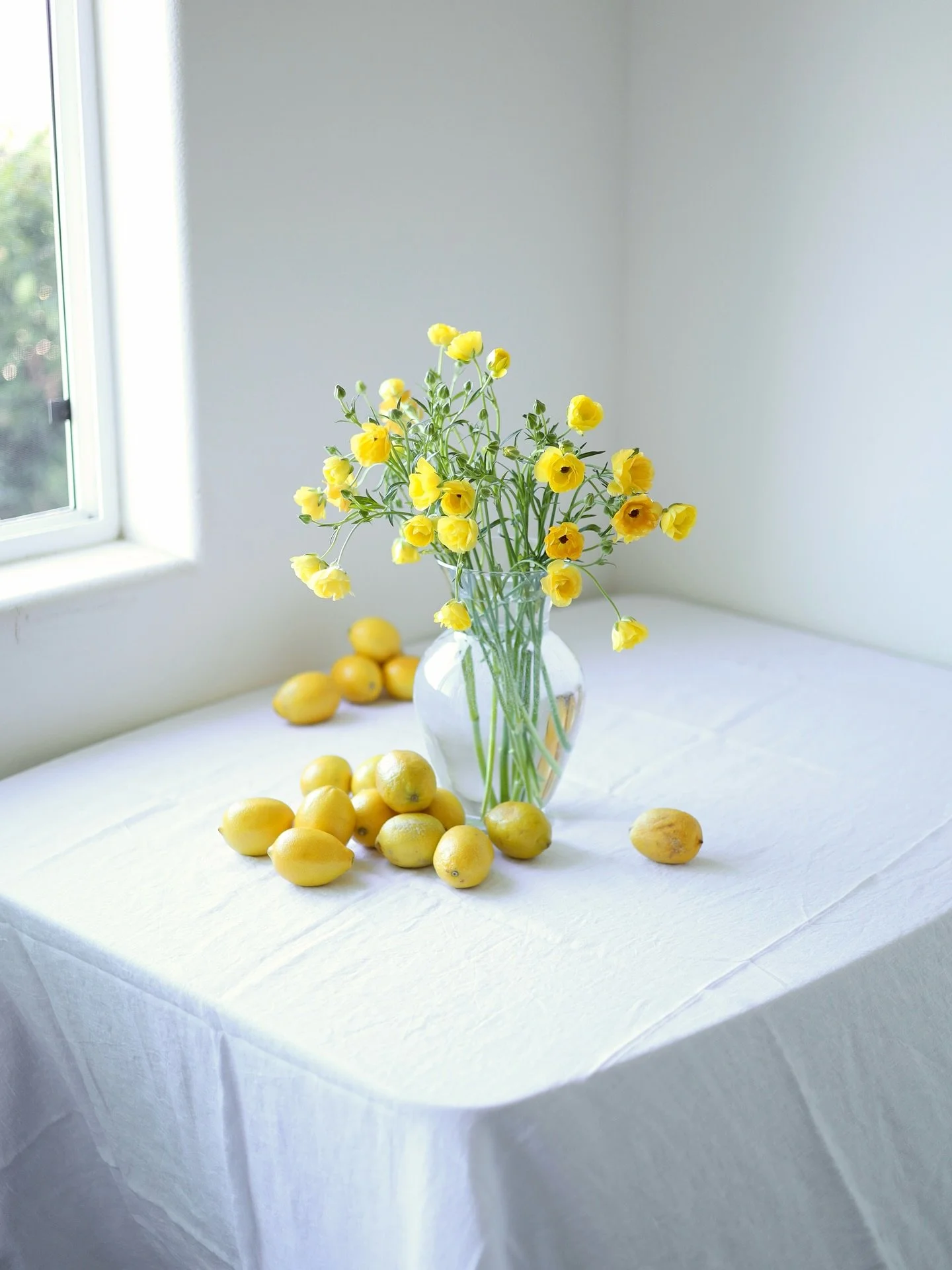 I&rsquo;ve been working on my camera skills and most of photos ended up with a blue tone(probably because my window is slightly tinted and the fabric is pure white). I increased warmth but when I went it too far, it started to look over-edited&hellip