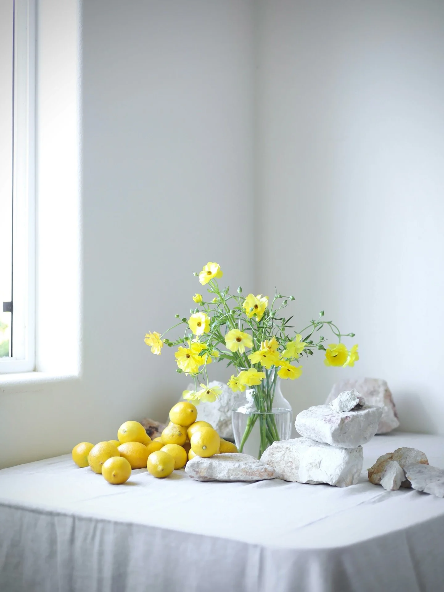 Butterfly ranunculus and lemon

#lemon #tablescape #centralcoastflorist #sloflorist #centralcoastweddings