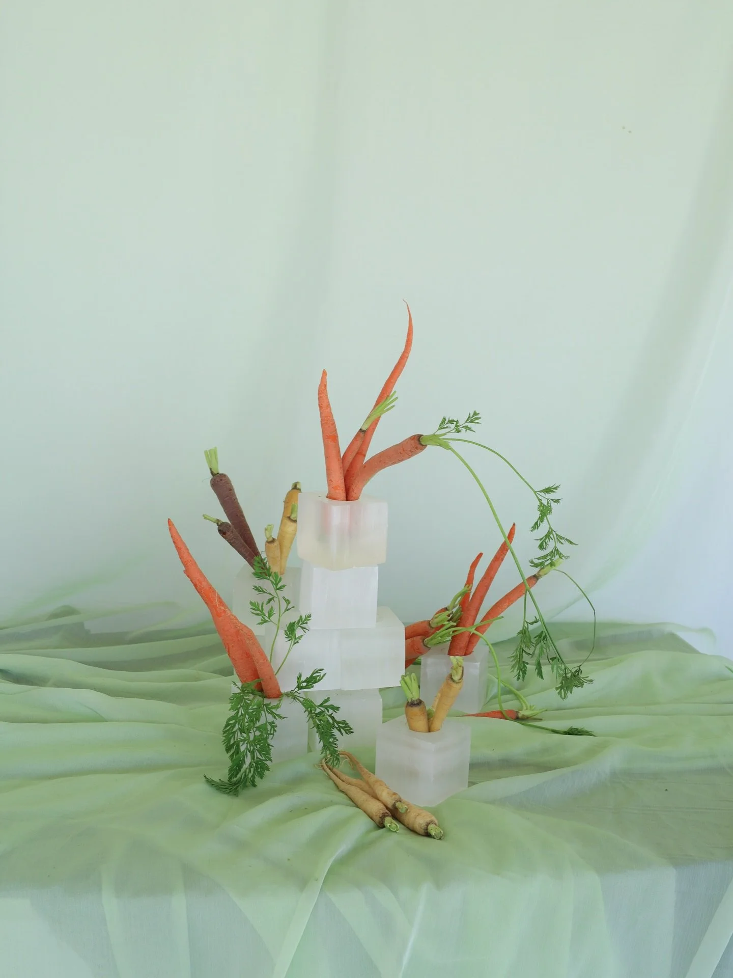 I mean&hellip; do you want some carrtos?

#centralcoastweddings #santabarbarawedding #santaynezwedding #lawedding #californiawedding #centralcoastflorist #santabarbaraflorist #santaynezflorist #laflorist #weddingtablescape #weddinginspiration #weddin