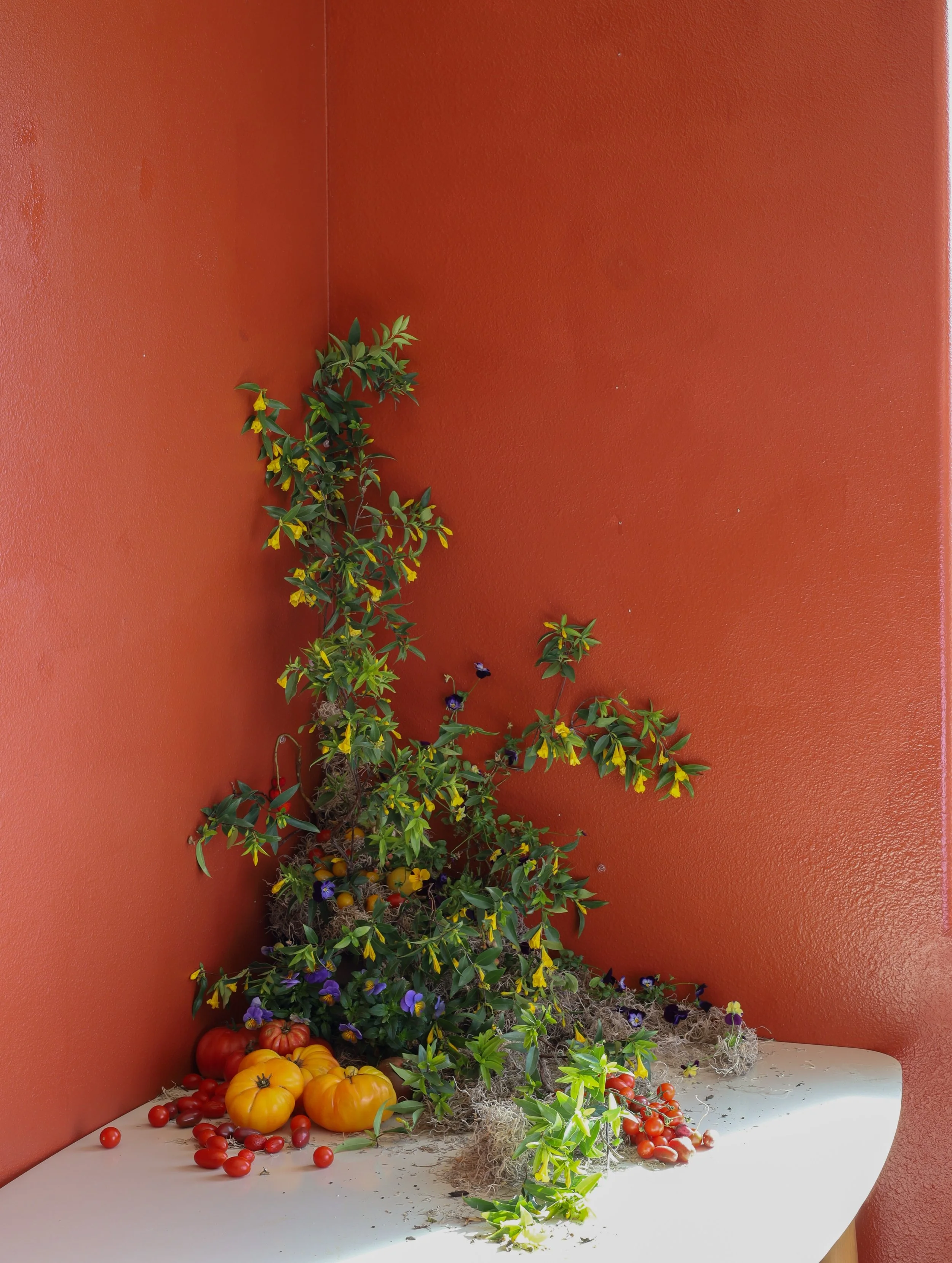 It all started with this yellow jasmine I found at @loweshomeimprovement 

#laflorist #santabarbaraflorist #lawedding #santabarbarawedding #centralcoastflorist