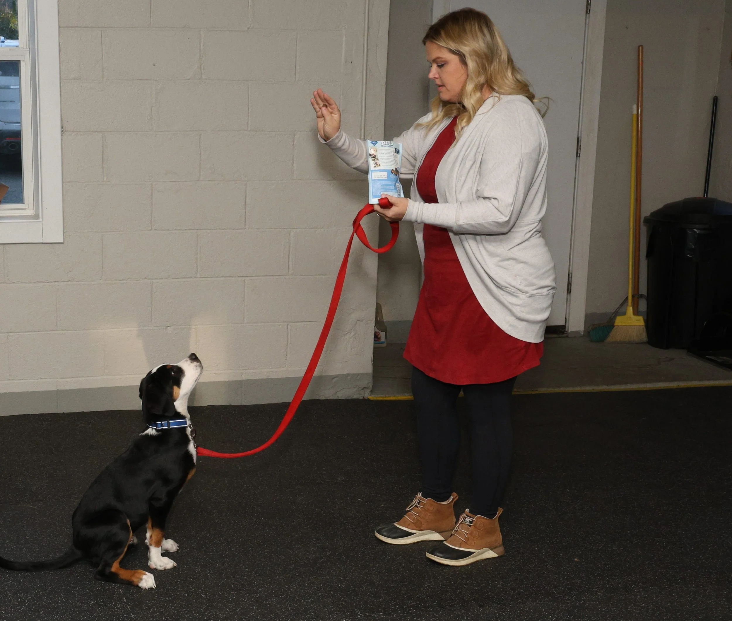 Spring - Tuesdays -Beginning Training Class