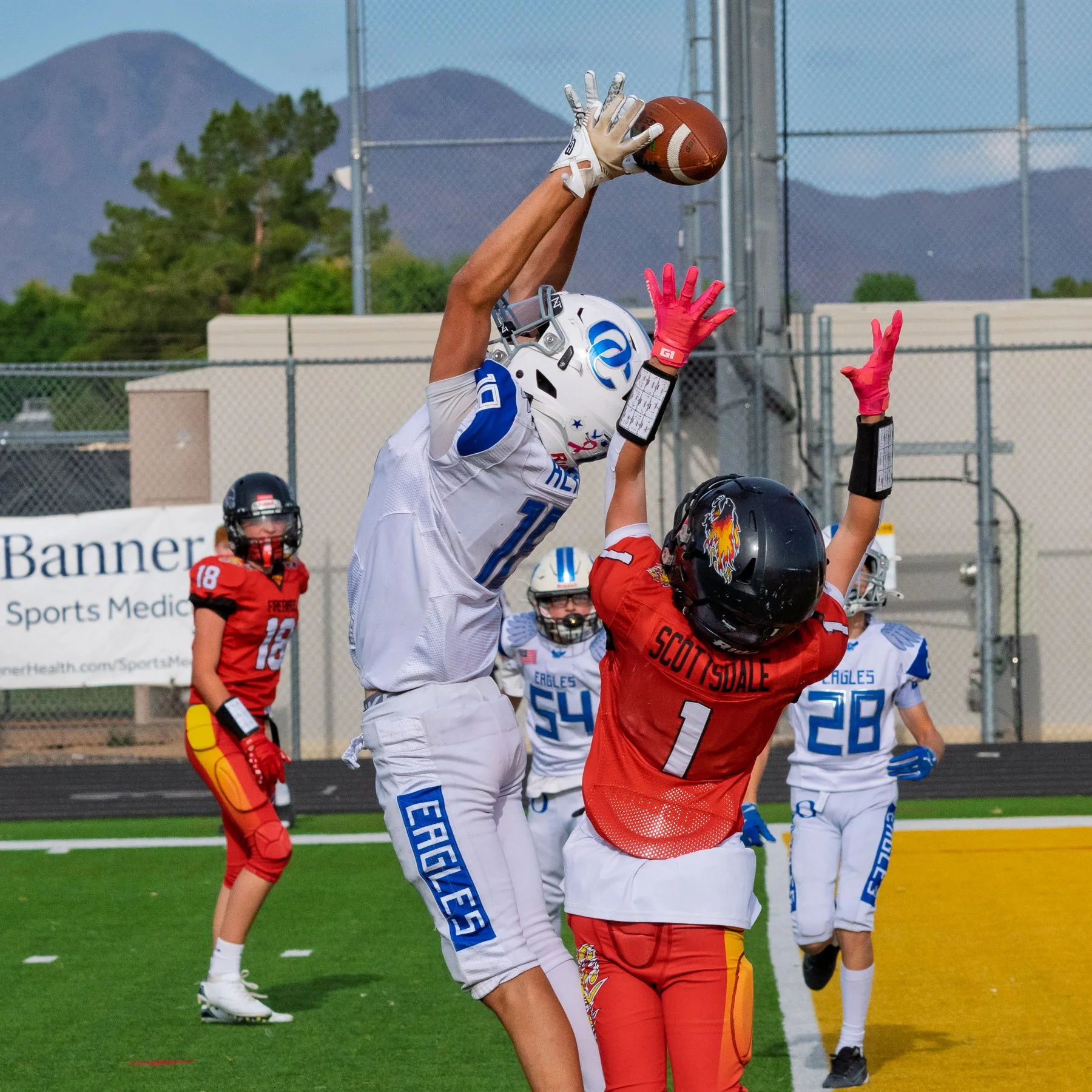 Firebirds_football-83.jpg