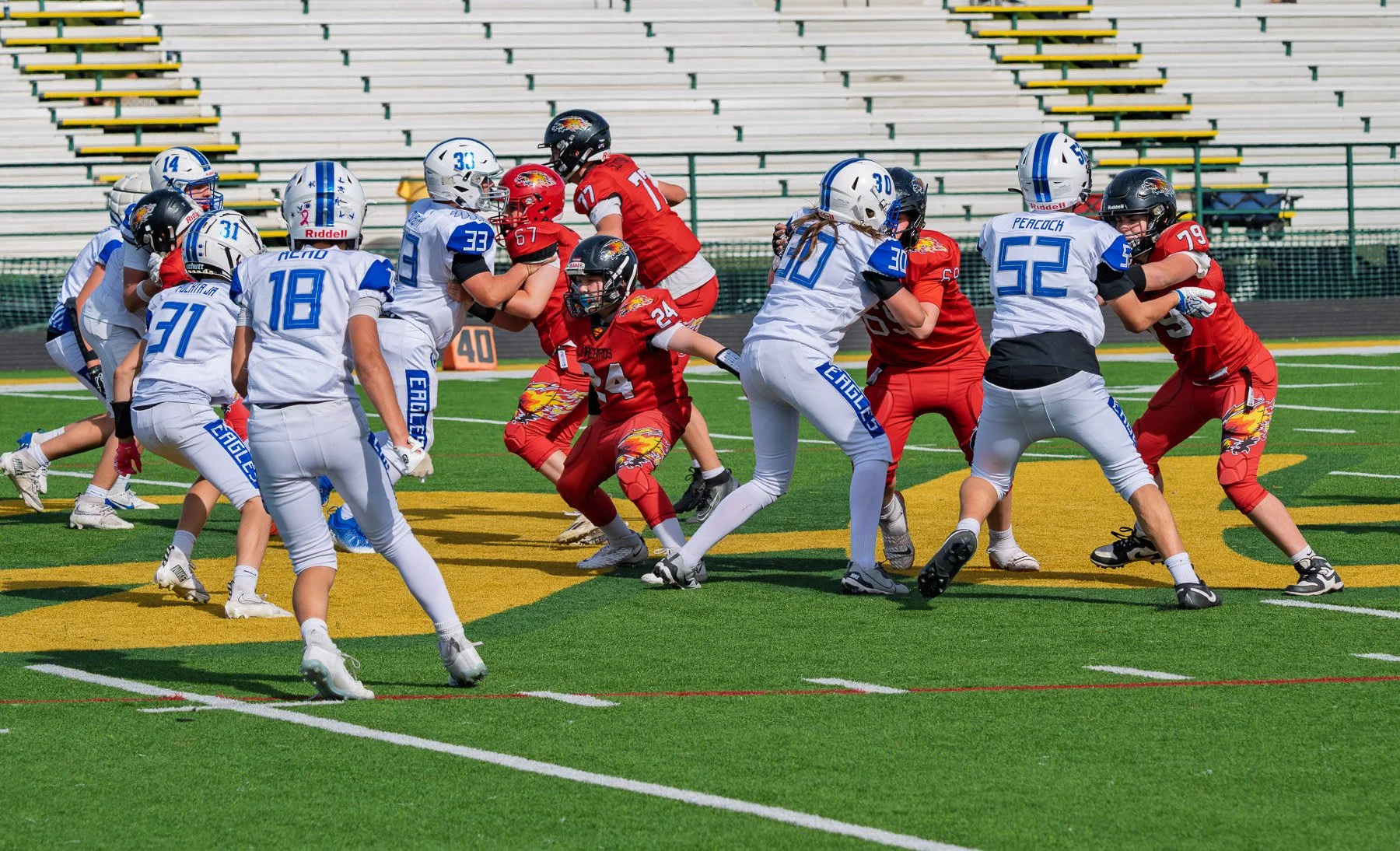 Firebirds_football-9.jpg