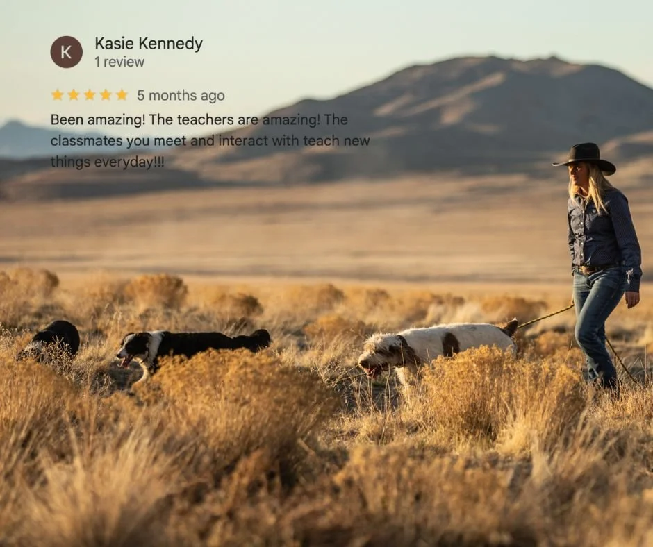 Kasie  GG Review.jpg