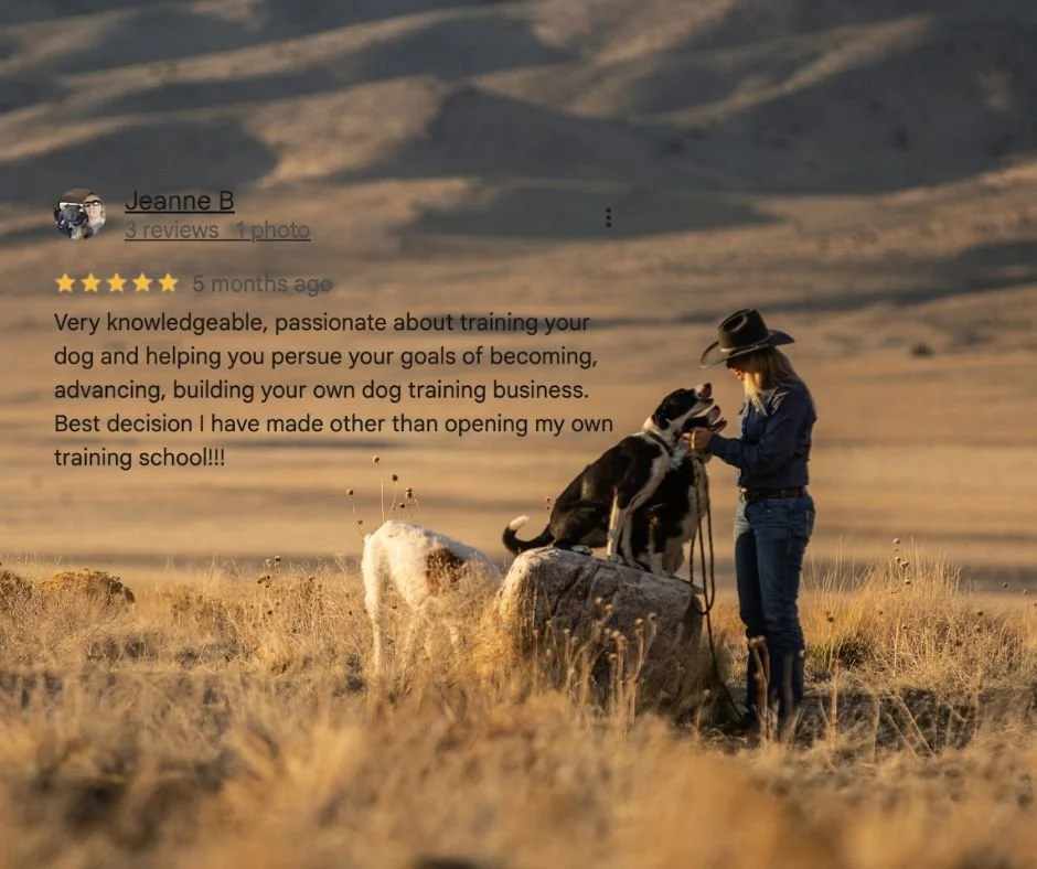 Jeanne  GG Review.jpg