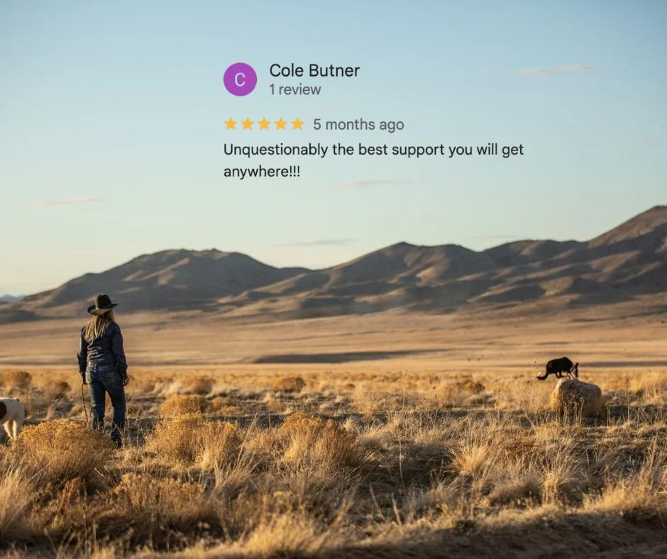 Cole B GG Review.jpg