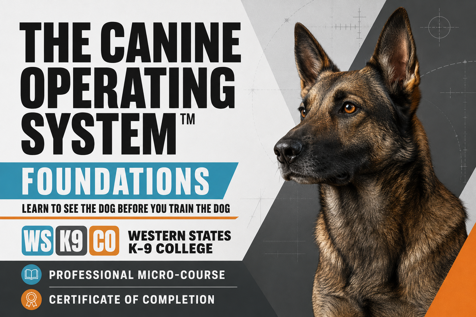 The Canine Operating System™ Foundations