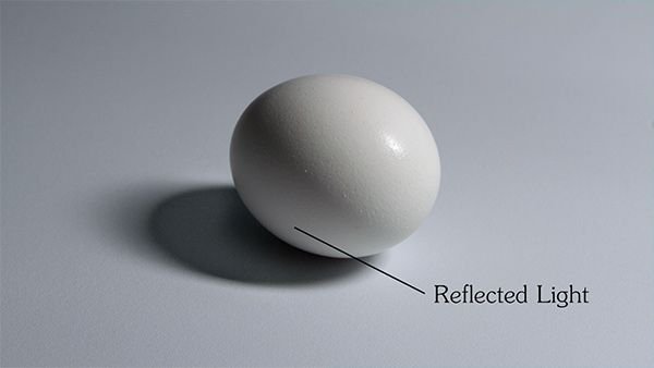 Proko - Shading Light and Form – Basics (1).jpeg