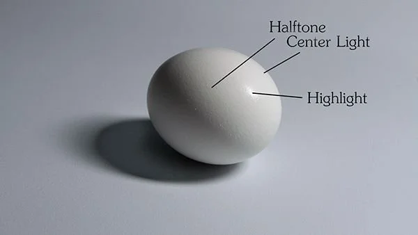 Proko - Shading Light and Form – Basics.jpeg